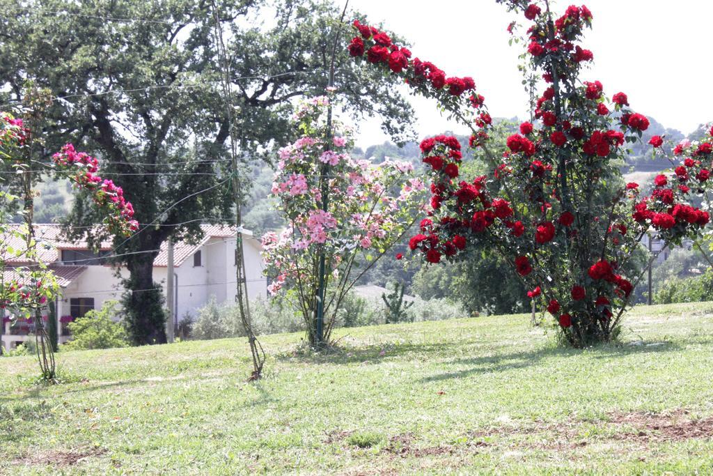 Villa Agriturismo Nociquerceto Tarano Exterior foto